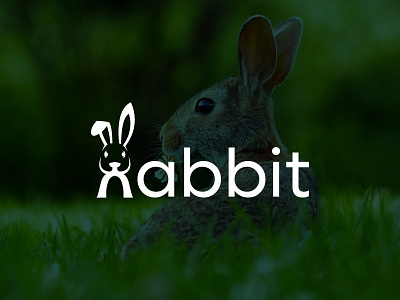 Rabbit logo design template beat logo brand identity branding branding logo branding logo design design graphic design illustration logo rabbit rabbit branding rabbit logo typography typography logo typography rabbit typography rabbit logo vector