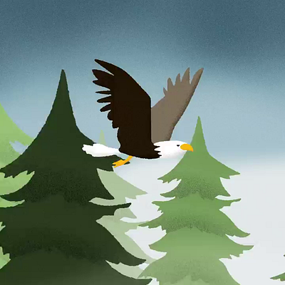 // Bald Eagle 2d after effects animation bald eagle cel animation douglas fir loop motion design vancouver island