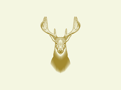 Buck brand buck deer graphic design illustration merch michigan whitetail