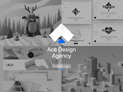 Ace Agency Presentation ace ace agency ace agency team ace design agency branding design graphic design logo presentation ui ui design uiux visual design visualization