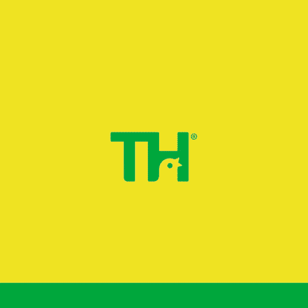 Season's Greetings for TruHearing animation branding collage graphic design motion graphics seasons skiing truhearing utah