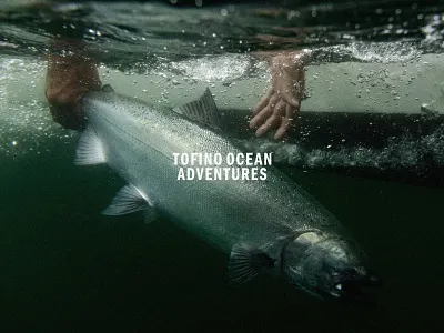 Tofino Ocean Adventure Word Mark Logo adventure branding fishing font logo mountains ocean pnw tofino