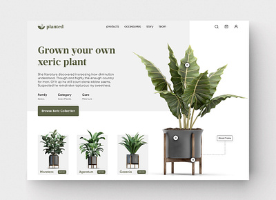 Plant Store Landing Page design figma plant store product design store ui ui design uiux web design