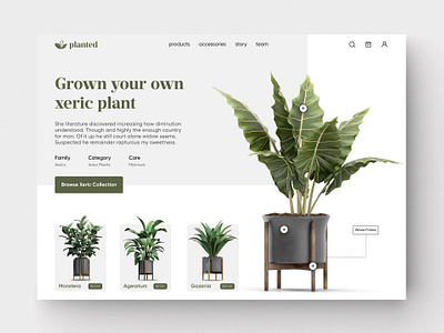 Plant Store Landing Page design figma plant store product design store ui ui design uiux web design