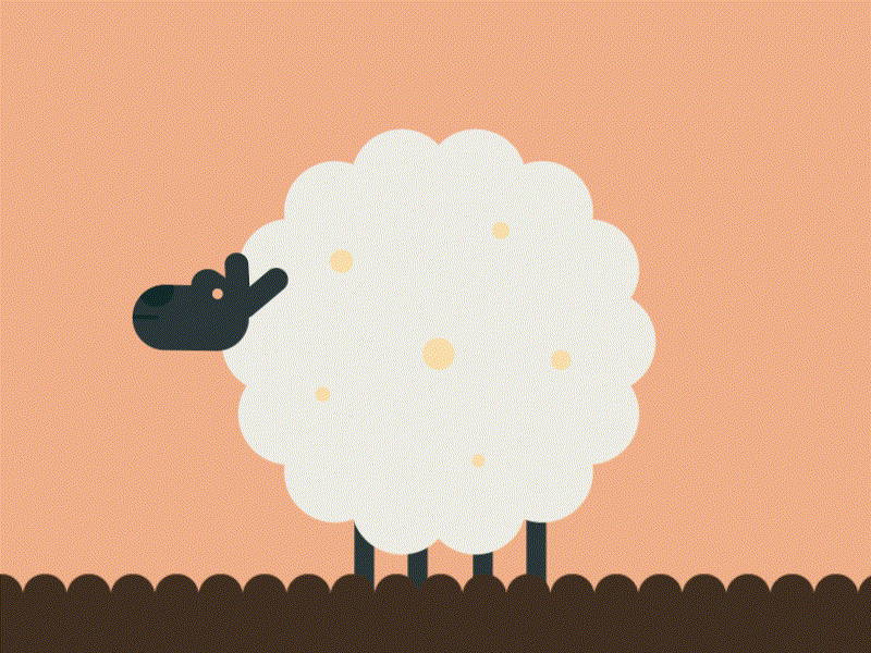 Animation