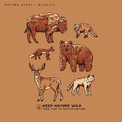 Nature Study Collection | Wildlife apparel design branding graphic art graphic design hand drawn illustration print design product design