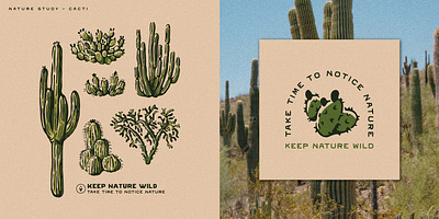 Nature Study Collection | Cacti apparel design art branding design graphic art graphic design hand drawn illustration print design product design