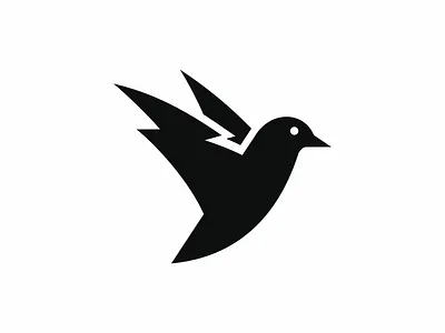 bird electric bird branding electric graphic design logo