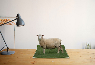 THE 3D PHOTO OF SHEEP