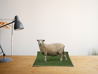 THE 3D PHOTO OF SHEEP