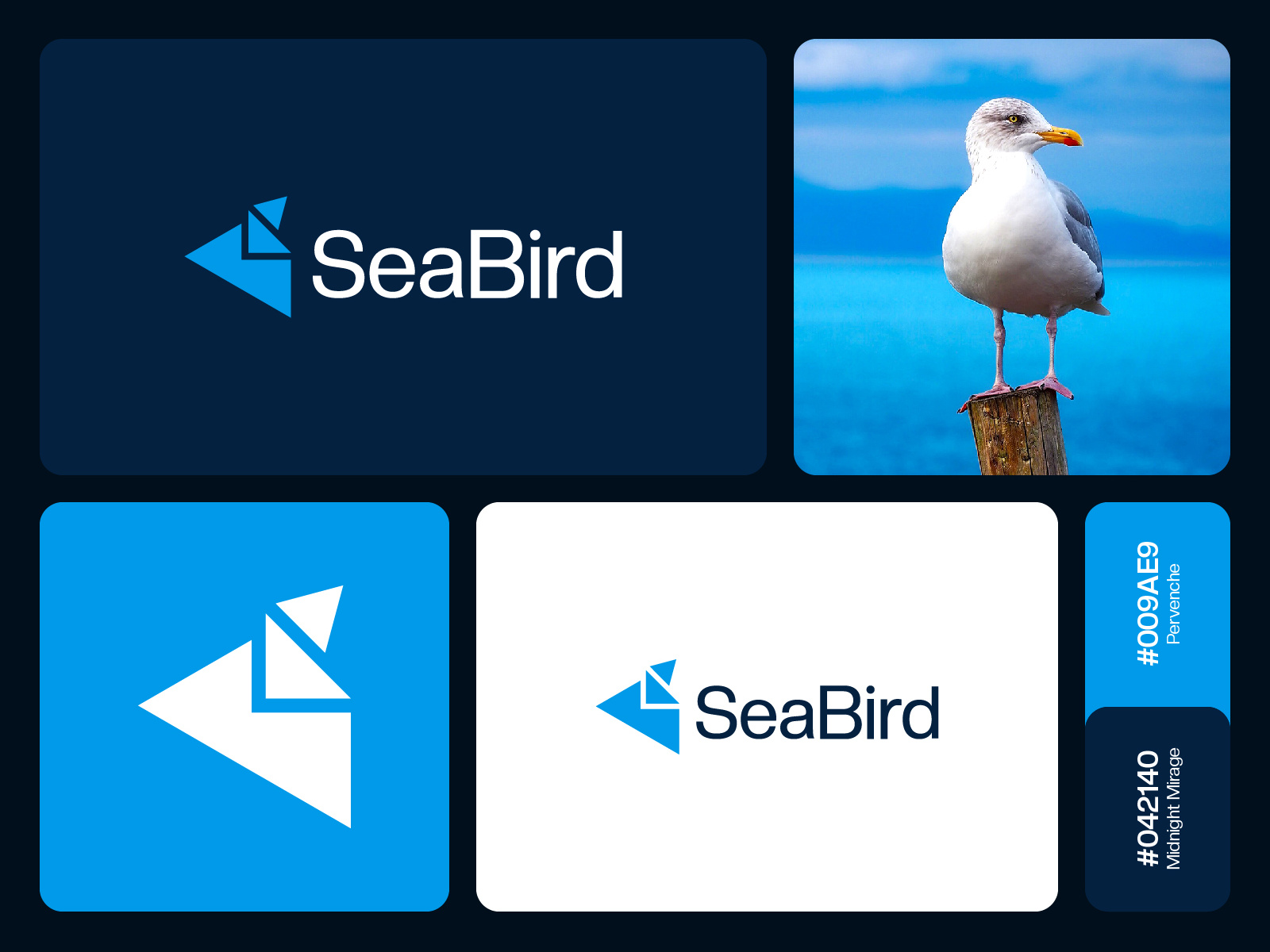 Seabird Logo Design By Jubayer Ahmad On Dribbble