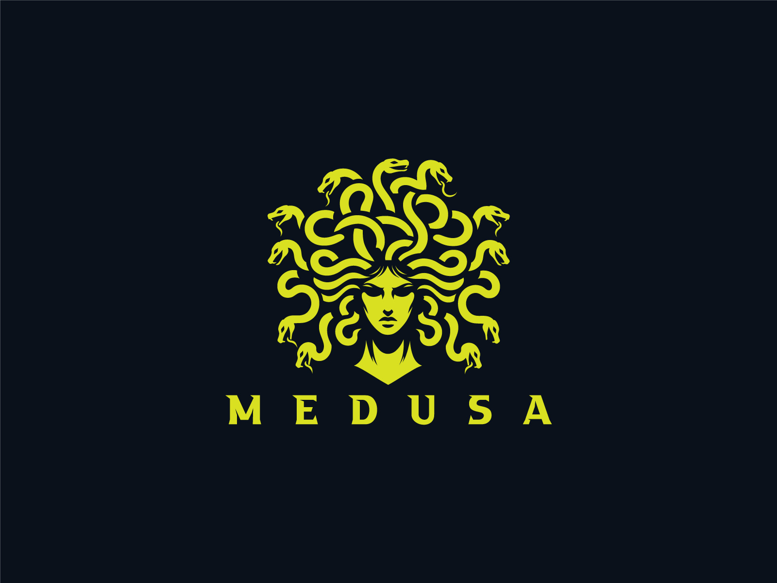 Medusa Logo by HUSSNAIN GRAPHICS on Dribbble