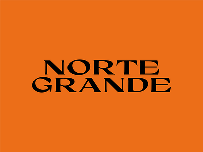 Norte Grande Book Reissue black book chile cover desiert design editorial editorial design graphic graphic design logo north orange re design redesign reissure type typography vector zine