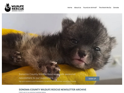 Wildlife Rescue Newsletter Sign Up Page Redesign sign up page redesign