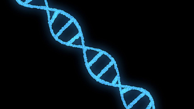 DNA model gene