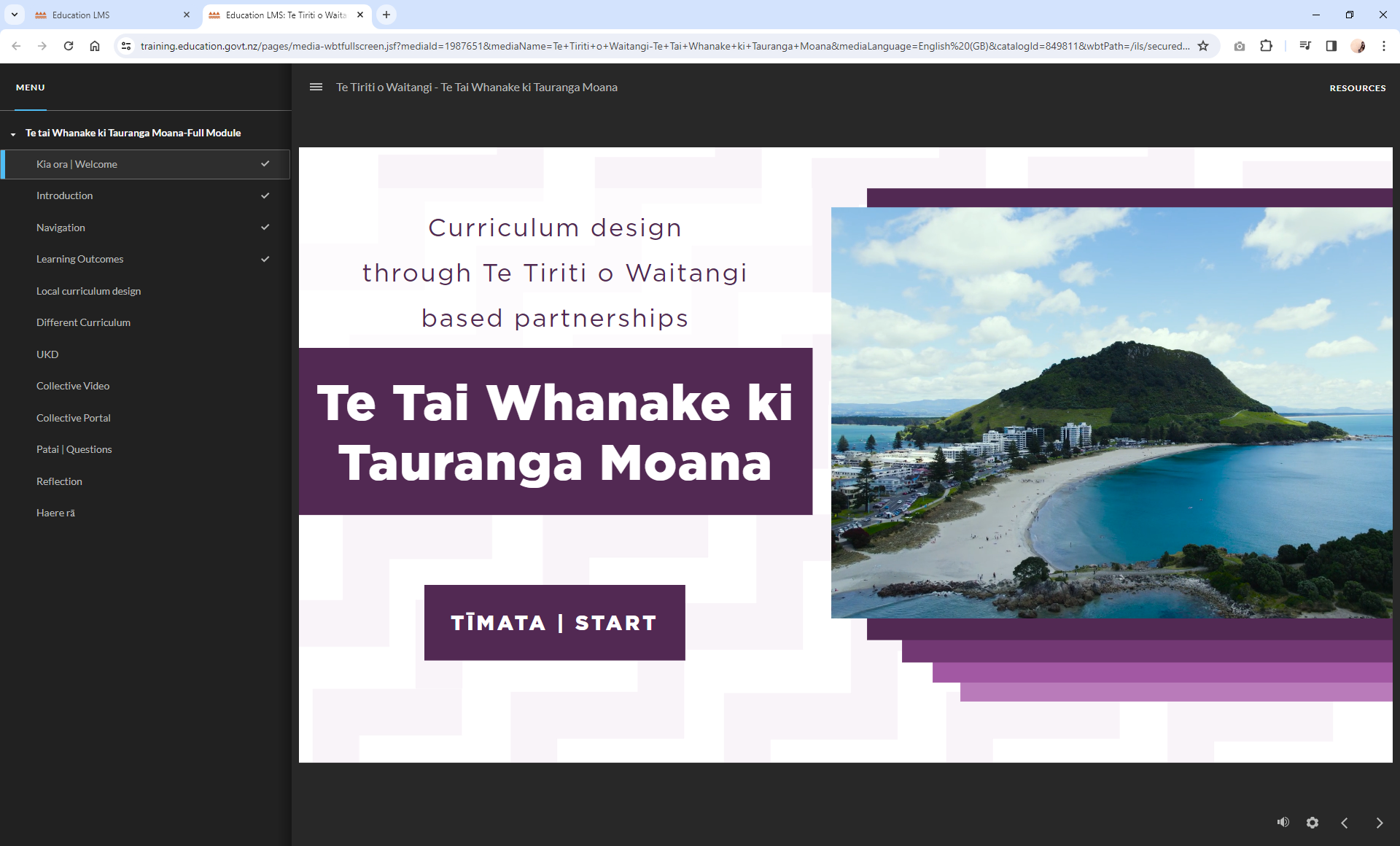 Example of Curriculum design through Te Tiriti based partnerships. (ANZH)