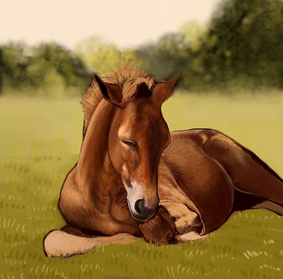 Foal Speedpaint foal horse illustration