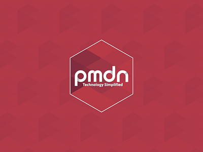 PMDN -Logo Design branding graphic design logo