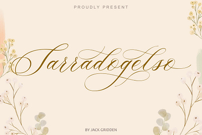 Sarradogelso Script Font branding design font graphic design illustration script vector