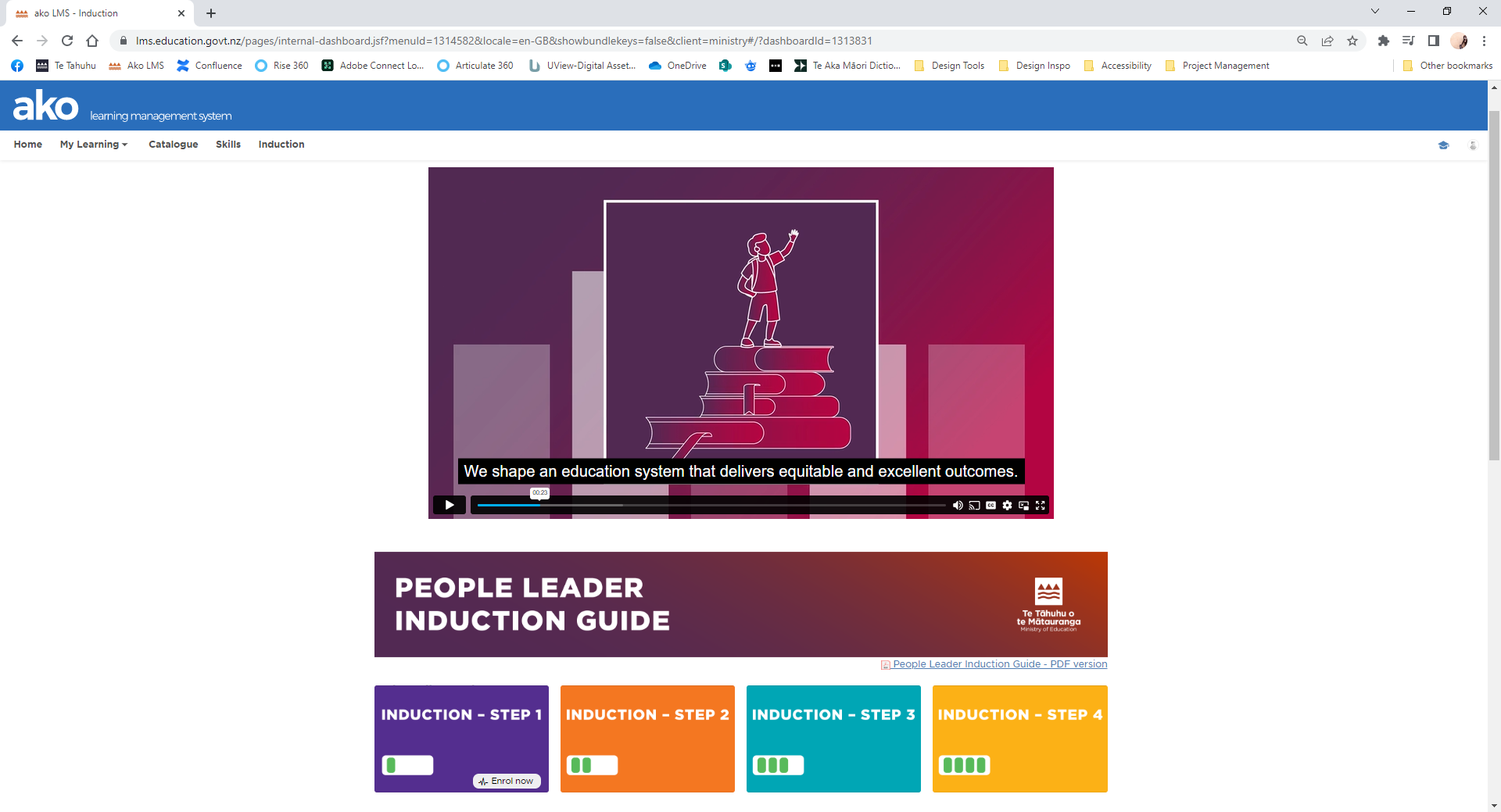 Example of Induction Project - MoE