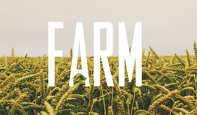 Farm House logo logotype typography