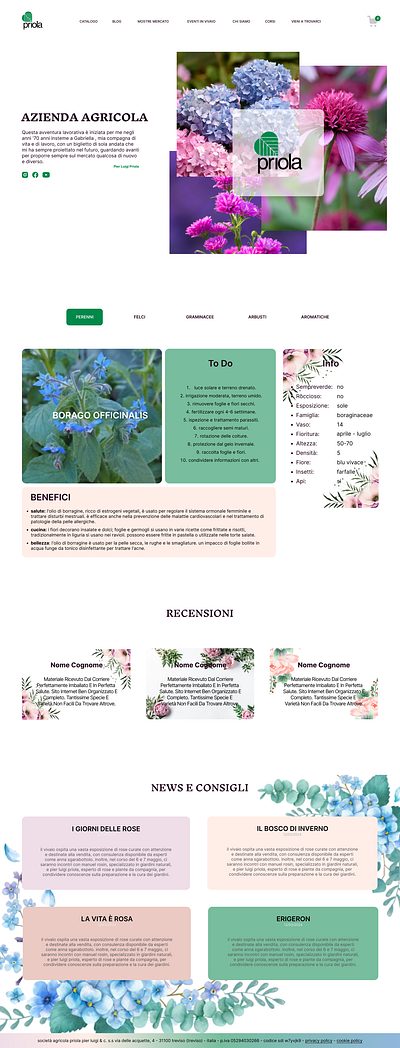 Plants & Flowers Site ui