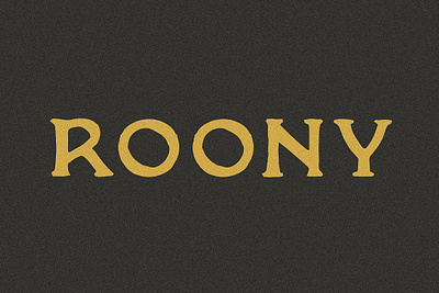 Roony Serif Font display font font handmade font serif font typeface font