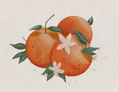 Watercolour Oranges 2d design fruit graphic design illustration oranges procreate stylized watercolor