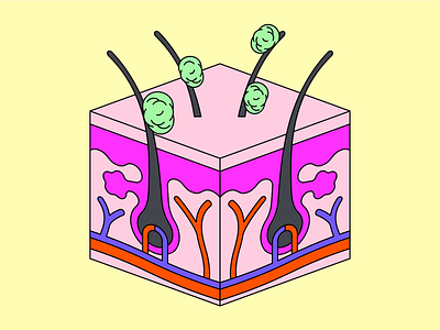 Nasal mucosa structure illustration vector