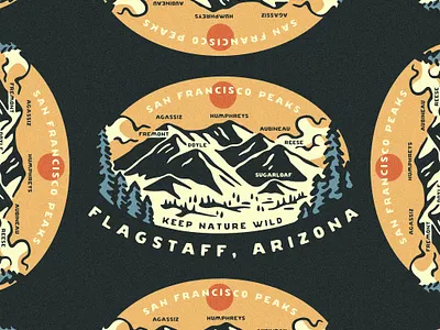 REI Co-op Flagstaff | San Francisco Peaks arizona branding collection design forest graphic art graphic design hand drawn illustration logo merch merchandise design mountain nature outdoor outdoors print design product design snow sticker