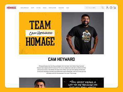 Cam Heyward webpage design custom web design football landing page pittsburgh sports sports design team ux web design webpage website