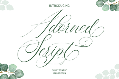 Adorned Script Font adorned branding design font graphic design illustration script