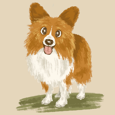 Sheltie animal character dog illustration pet puppy
