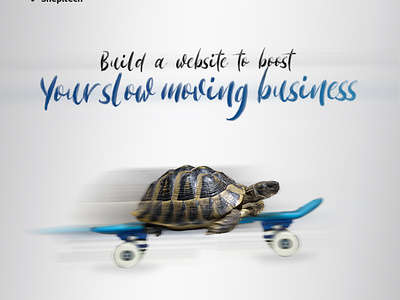 Build Your Business Website animation app application branding build design freewebsite graphic design illustration logo needwebsite snepitech ui vector wanttobuildwebsite website