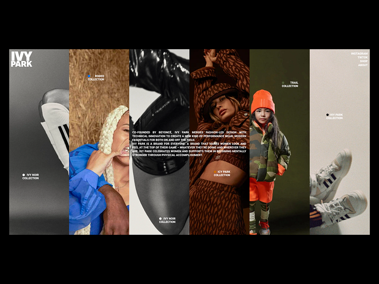 Ivy Park Website / Beyoncé & Adidas Brand by Alexander Butsko on Dribbble