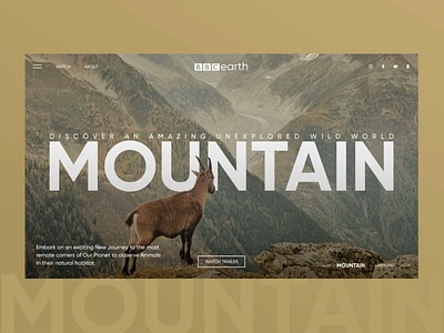 Website Design. BBC Earth animals animation bbc design ui ux web website