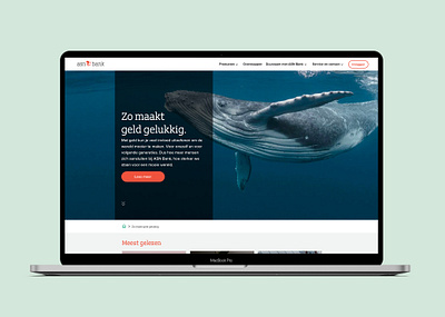 ASN bank – Platform ‘Zo maakt geld gelukkig’ branding design graphic design ui ux visual design webdesign