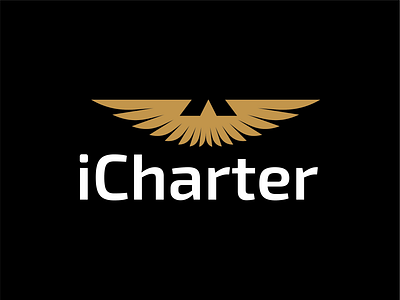 iCharter aviation aviation flights flights icharter logo private aviation