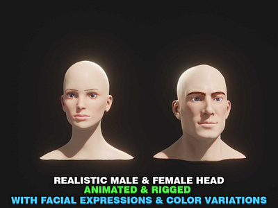 Animated Realistic Male and Female Head 3D Model 3d animated head 3d model animated human head animation facial expressions female head 3d model graphic design head 3d model human head 3d model male head 3d model motion graphics rigged human head