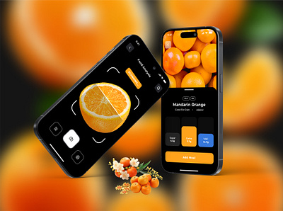 Fruit Fiesta App UI Design app branding graphic design logo ui uidesign uiux