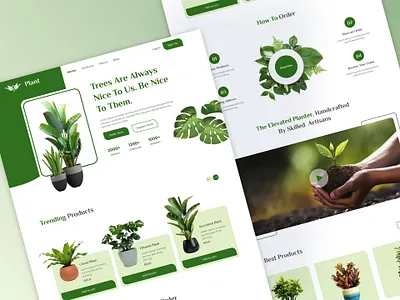 Plant - Plant Nursery Landing Page design figma figma design figma website landing page nursery landing page nursery website plant plant landing page plant nursery landing page plant webdesign plant website ui uiux design web design website design