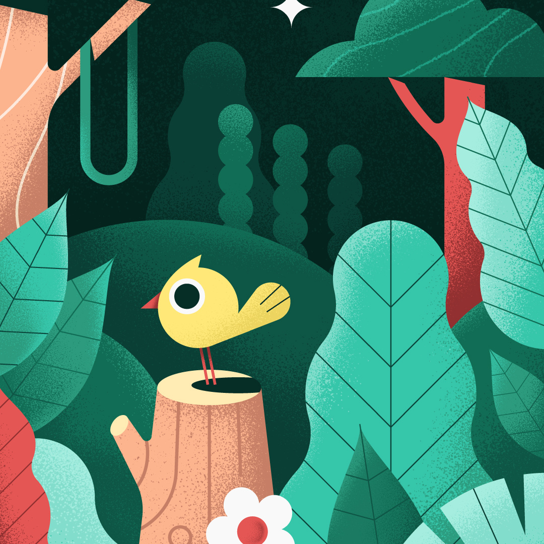 Yellow Chick In The Wild By Léo Alexandre On Dribbble