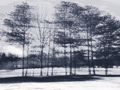 landscape with trees blurry landscape monochrome photography slow shutter speed trees