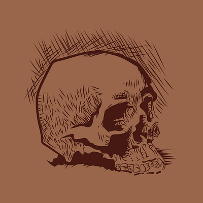 Skull digital engraving engraving illustration skull