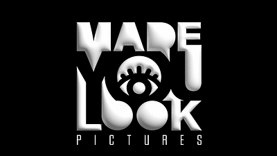 Brand Design for Made You Look Pictures branding design graphic design logo vector