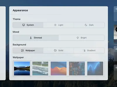 Appearance Card card dark dashboard gradient light segmented control settings wallpaper