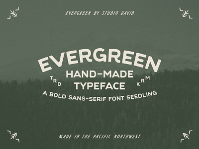 Evergreen Typeface badge branding coffee evergreen font forest graphic design green hiking identity logo mountain northwest ocean pacific northwest pnw trees type typeface typography