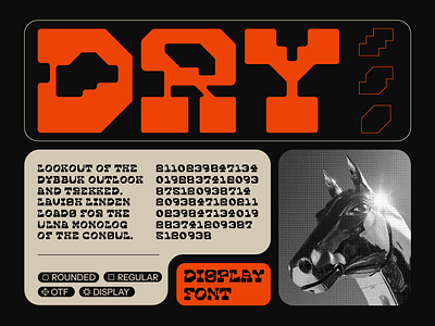 DRY Display block font chrome cowboy cyberpunk desert design resource font design free font type design typography