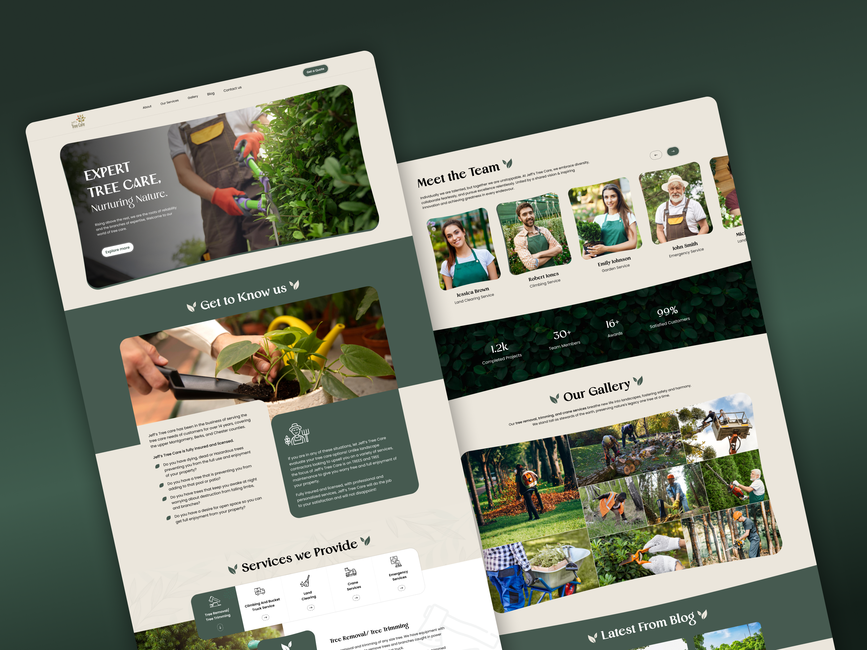 Jeff's Tree Care Website Design layout design plant website tree care tree plant treecare website ui design uiux website design