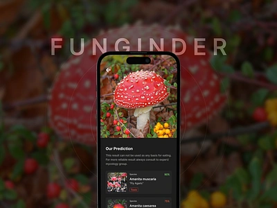 Funginder: Mushroom identifier app concept forest fungi mobile app design mushroom app nature uiux design